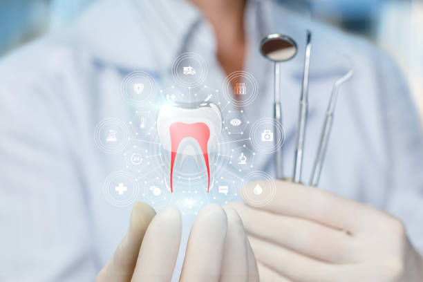 Best Pediatric Dentistry  in Lake Barrington, IL
